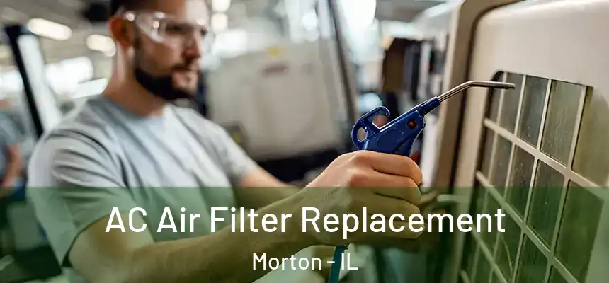 AC Air Filter Replacement Morton - IL
