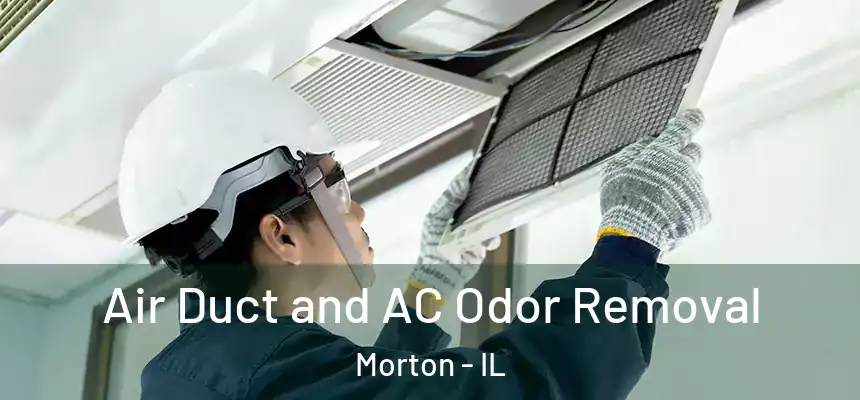 Air Duct and AC Odor Removal Morton - IL