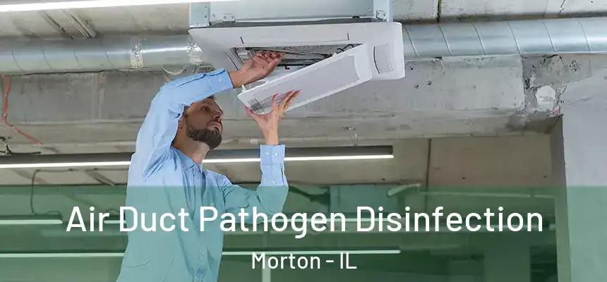 Air Duct Pathogen Disinfection Morton - IL
