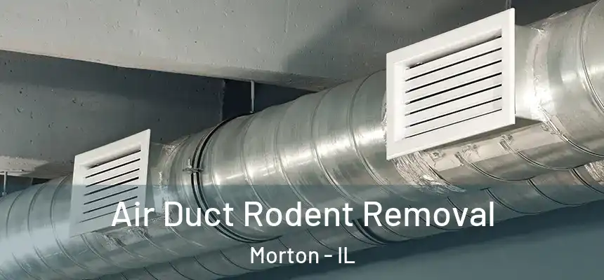Air Duct Rodent Removal Morton - IL