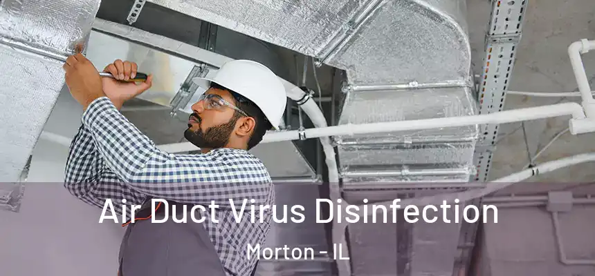 Air Duct Virus Disinfection Morton - IL