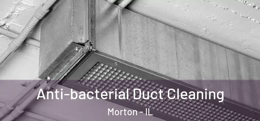 Anti-bacterial Duct Cleaning Morton - IL