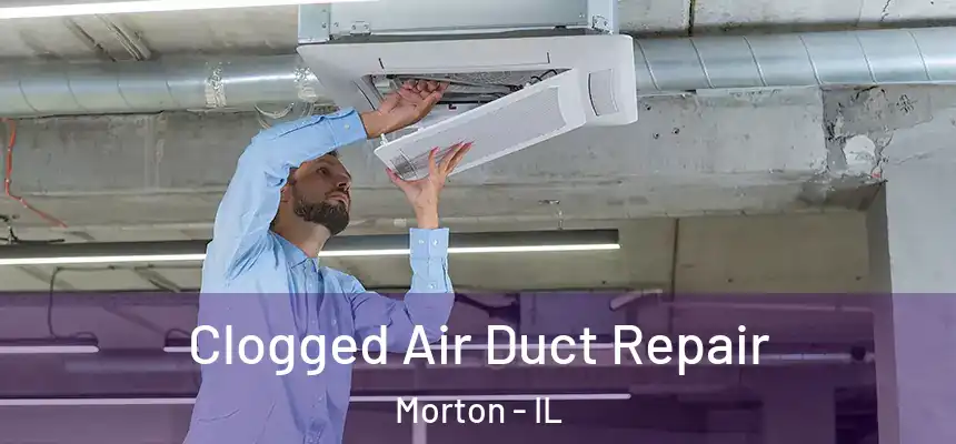  Clogged Air Duct Repair Morton - IL