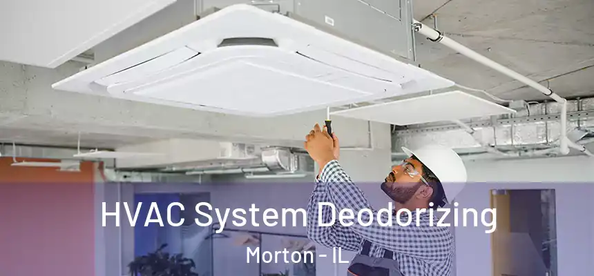  HVAC System Deodorizing Morton - IL