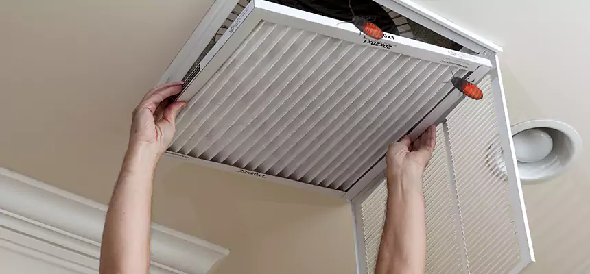Preventive Cockroach-Proofing for Ducts in Morton