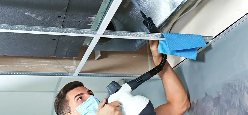 Our Air Duct Rodent Removal Services in Morton, IL
