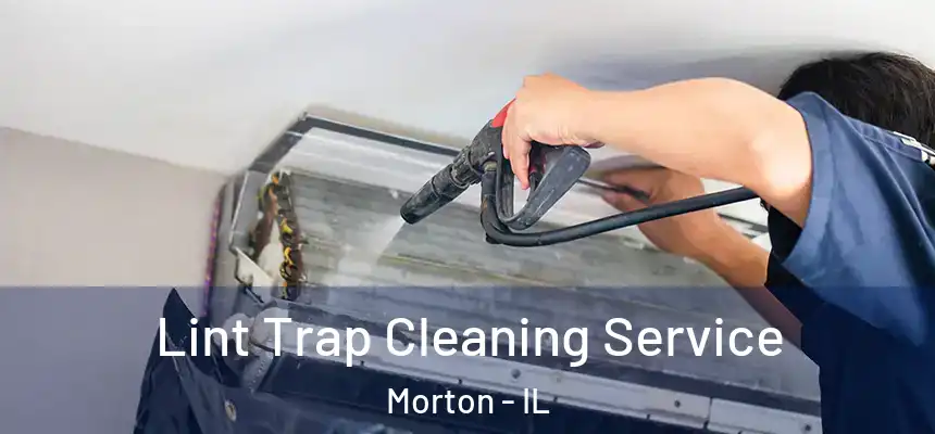  Lint Trap Cleaning Service Morton - IL