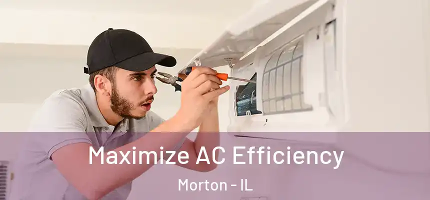  Maximize AC Efficiency Morton - IL