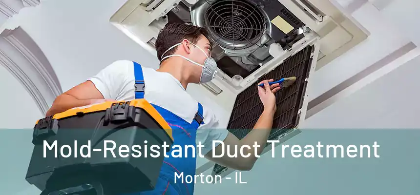 Mold-Resistant Duct Treatment Morton - IL