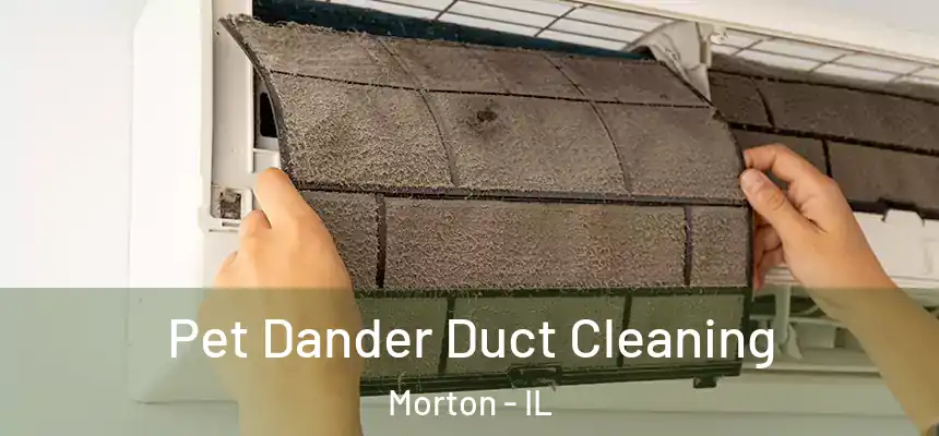 Pet Dander Duct Cleaning Morton - IL