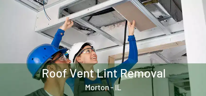  Roof Vent Lint Removal Morton - IL