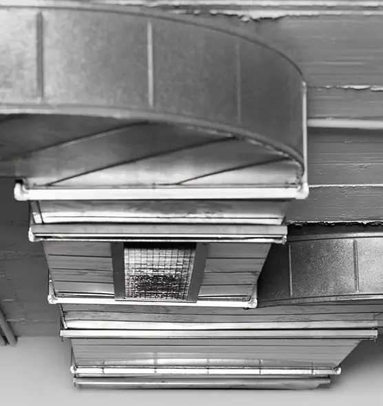 Professional Air Duct Pest Removal in Morton, IL