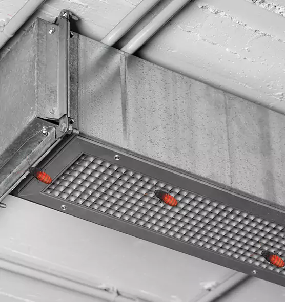 Affordable Insect Removal from Air Ducts in Morton, IL