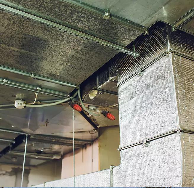 Why Homeowners & Businesses Trust Us in Morton, IL?